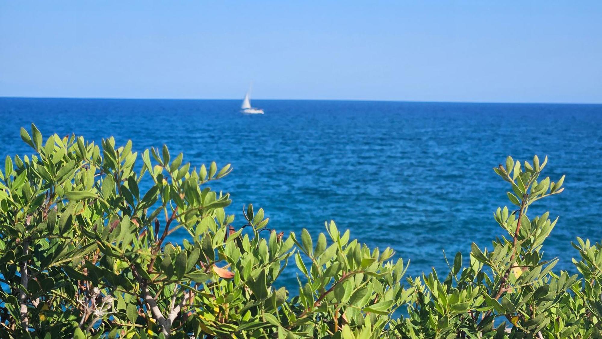 Apartament Royal Oropesa Oropesa del Mar Zewnętrze zdjęcie