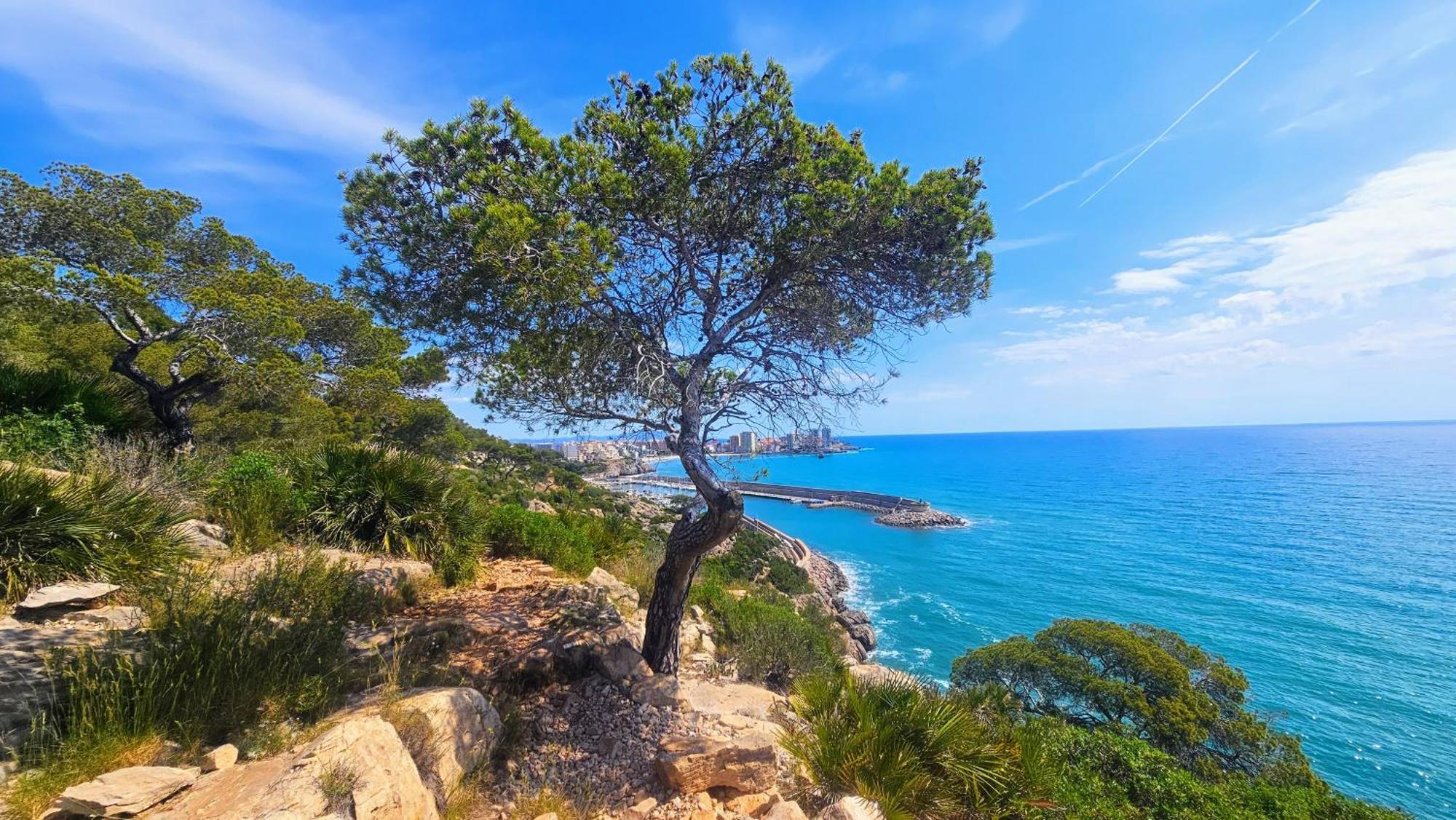 Apartament Royal Oropesa Oropesa del Mar Zewnętrze zdjęcie